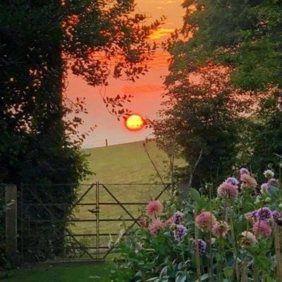 火博体育App官网