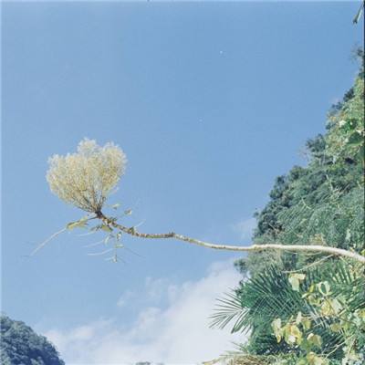 BOB体育官网下载入口