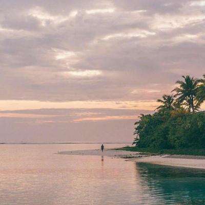 爱游戏APP·官方登录入口(ayx)手机app下载