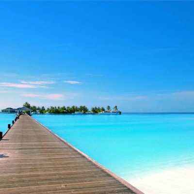 beat365中国在线体育手机app下载