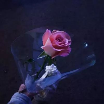 BOB·体育综合APP下载